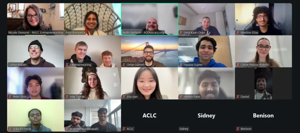 Virtual meeting with diverse participants